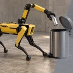 Gemini 4 Argon for robotics: from visual reasoning to simulation and control